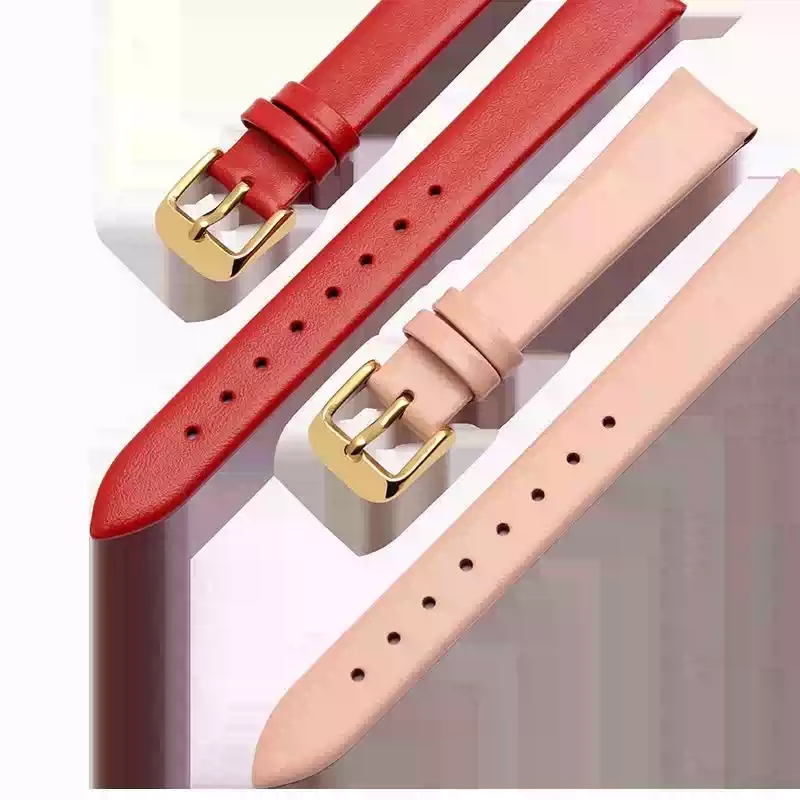 إكسسوارات الساعة 12 مم - 24 مم - مراجعة Daniel Wellington Watches & Jewelry Online Store وسعره